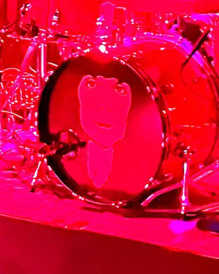 Ann Wilson Boston