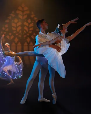 Ballet of Lights Boston