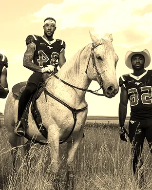 Calgary Stampeders Hamilton