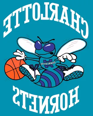 Charlotte Hornets Manchester