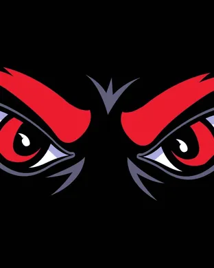 Cincinnati Bearcats Football Cincinnati