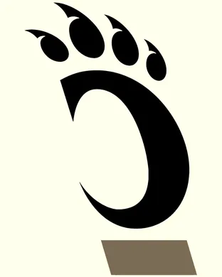 Cincinnati Bearcats Cincinnati
