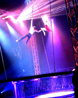 Cirque Italia Hamilton