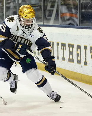 Notre Dame Fighting Irish Hockey South Bend
