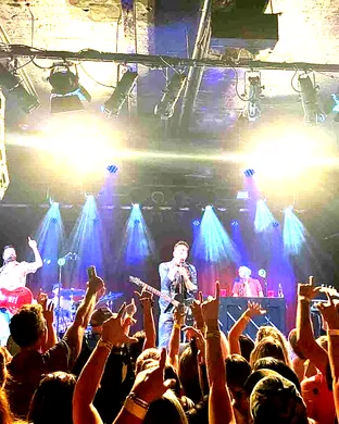 Old Dominion Hamilton
