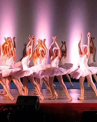 Swan Lake Lebanon