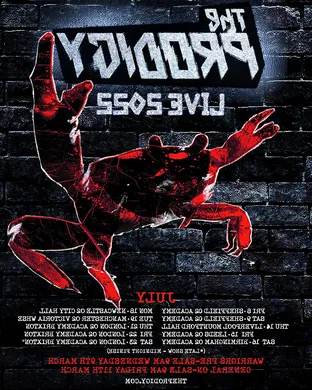 The Prodigy Dublin