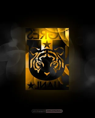 Tigres Uanl Manchester